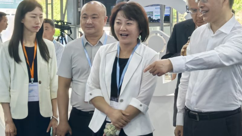 汽车零部件材质：揭秘性价比背后的秘密